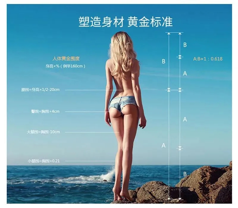 我们的S型身材,怎样变成了D型、O型……插图(4) 我们的S型身材,怎样变成了D型、O型……插图(4)